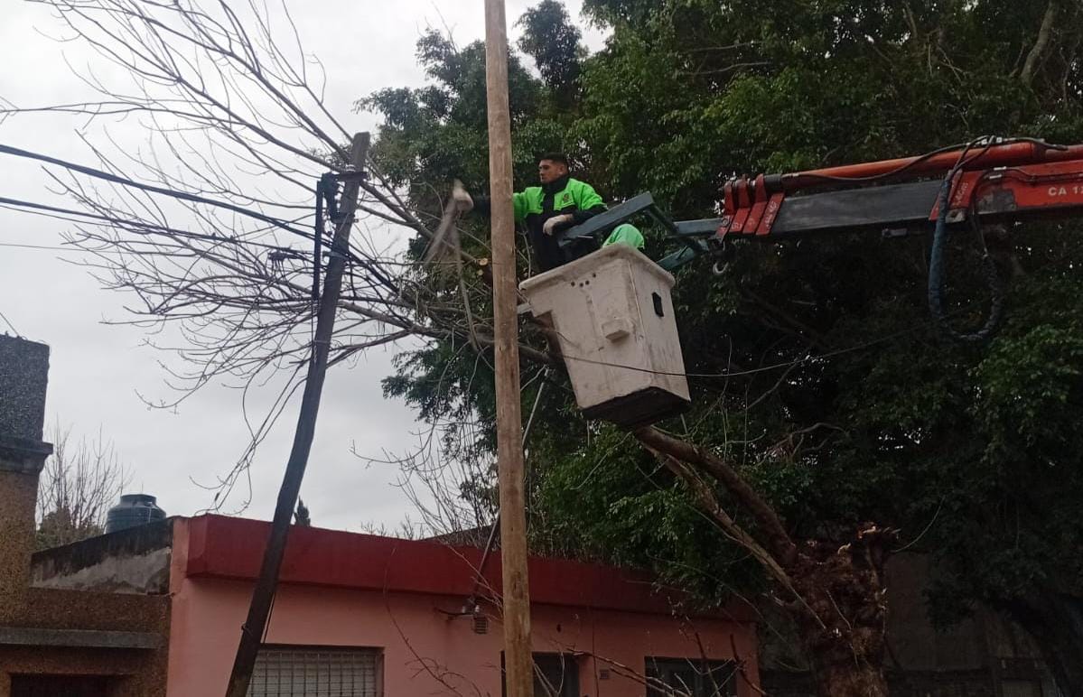 Tormentas: Protección Civil desplegó intervenciones por anegamientos, árboles y cables afectados