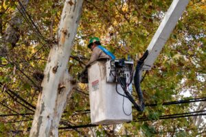 El municipio continúa con los trabajos de mantenimiento del arbolado público en distintos barrios