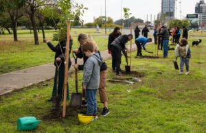 Convocan a voluntarias y voluntarios a una plantación de árboles en el Parque de las Colectividades