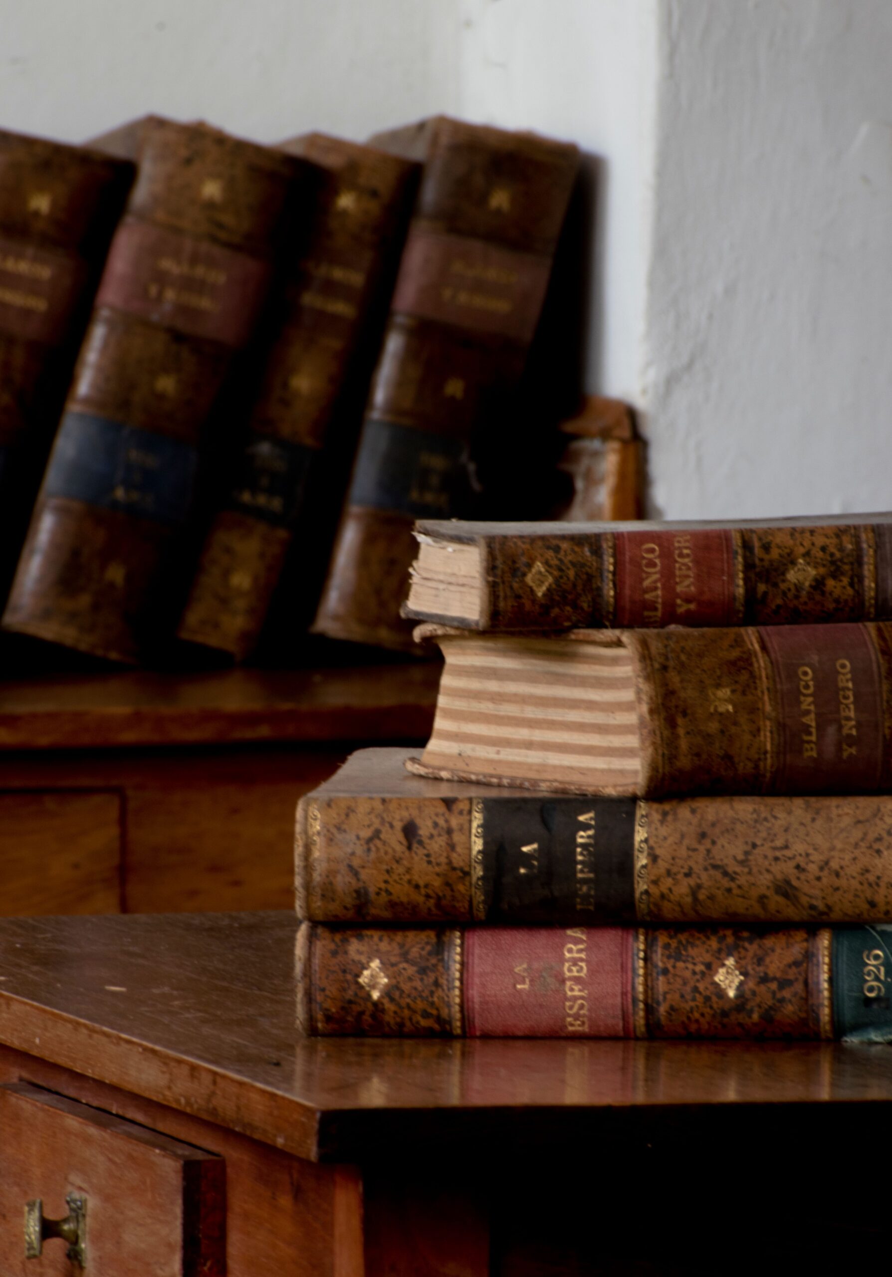 Qué es el «Proyecto Panamá» y cómo reveló la destrucción de miles de libros antiguos para entrenar a la IA