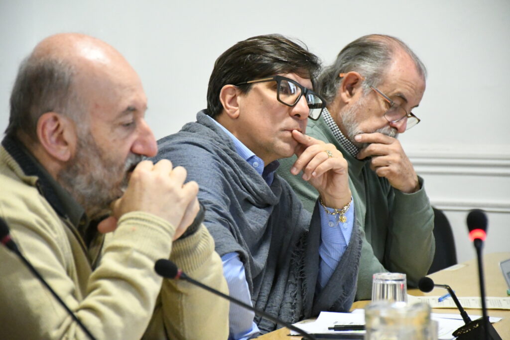 Iniciativas sobre arbolado y espacios verdes