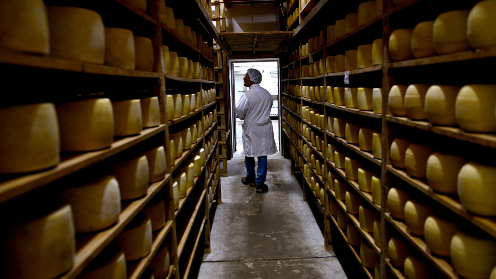 Récord de exportaciones lácteas para los primeros 7 meses del año con 1.835 millones de litros de leche