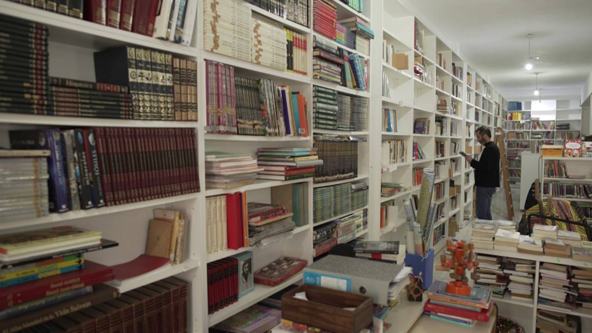 Día del Bibliotecario: los orígenes de una vocación ligada al conocimiento y la cultura