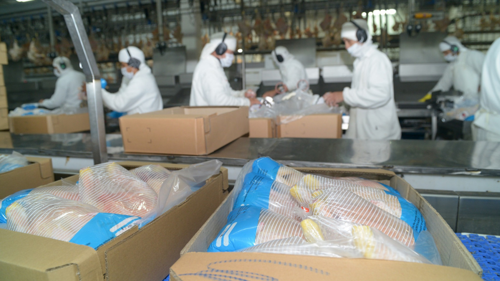 Argentina logró la reapertura del mercado de Japón para carne aviar y ovoproductos