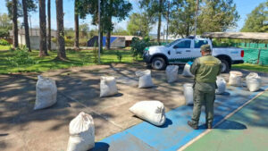 Gendarmería incautó 244 kilos de droga en Misiones
