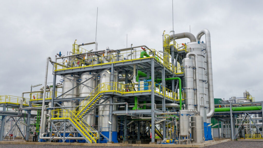 Agricultura autorizó la comercialización de una nueva levadura genéticamente modificada que optimiza la producción de bioetanol