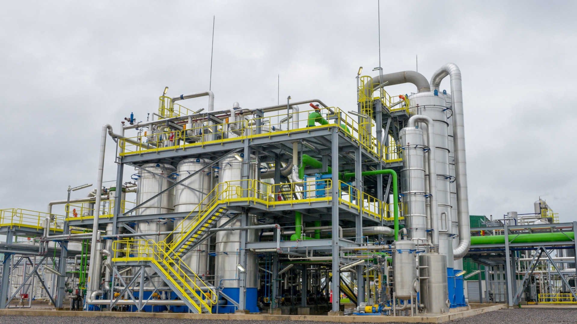 Agricultura autorizó la comercialización de una nueva levadura genéticamente modificada que optimiza la producción de bioetanol