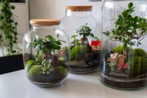 Los jardines eternos:  naturaleza suspendida en el tiempo. Paso a paso para armar el tuyo
