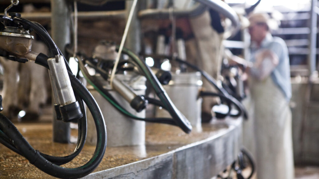 Créditos en Valor Producto: en los últimos dos años se aprobaron más de $67.000 millones a 440 productores de todo el país