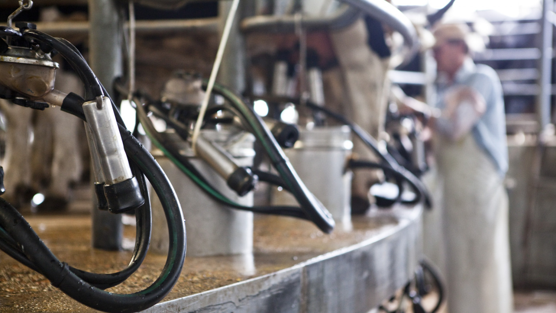 Créditos en Valor Producto: en los últimos dos años se aprobaron más de $67.000 millones a 440 productores de todo el país