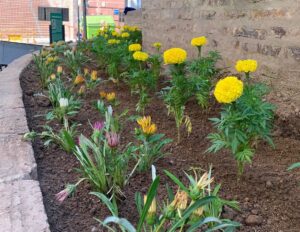 Convocan a vecinas y vecinos a participar de talleres en la Escuela Municipal de Jardinería
