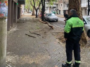 Tormentas en Rosario: se registraron 34 incidencias y el municipio continúa con operativos preventivos