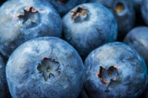 El Universo del Arándano: Temporada, Historia, Beneficios, Cultivo y Recetas