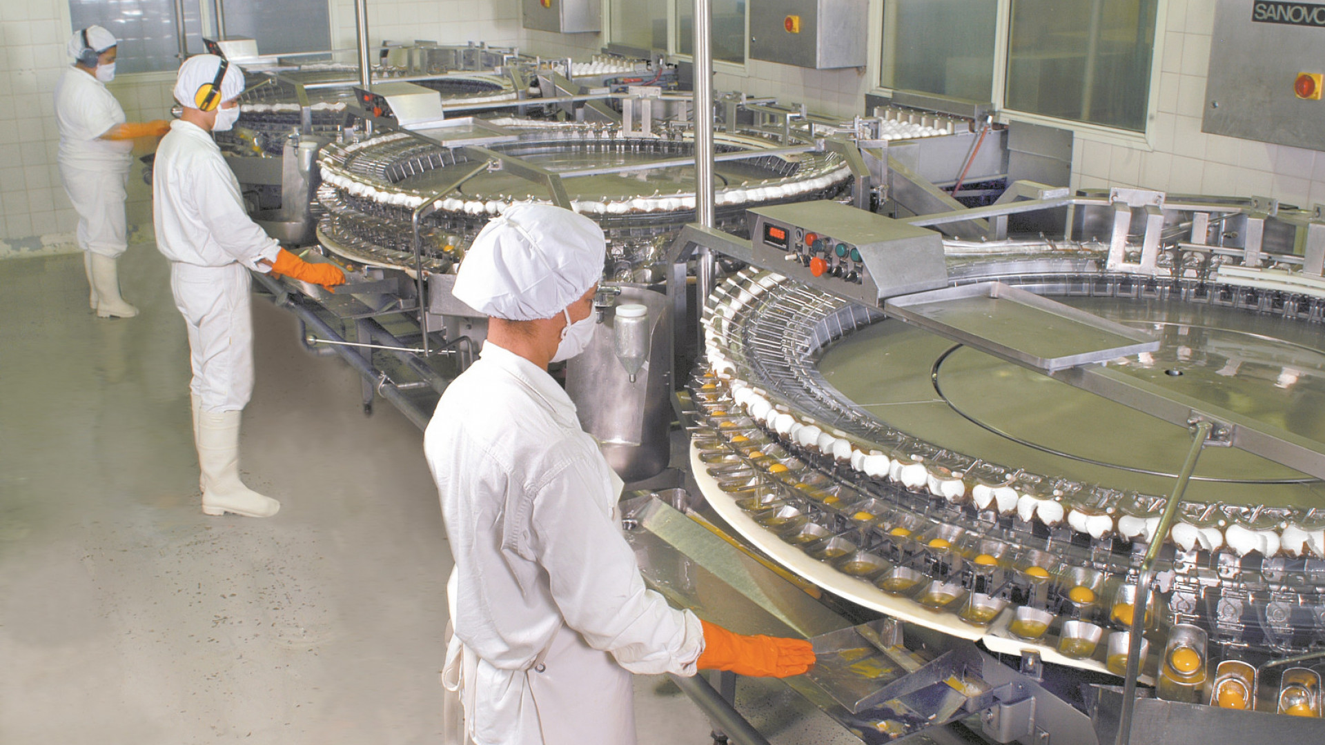 Ovoproductos: las exportaciones alcanzaron en los primeros ocho meses del año el mayor valor de la década