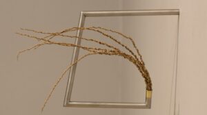 Cultura: El Museo Rosa Galisteo anuncia las obras ganadoras del 103º Salón Anual Santa Fe y la Selección Caillet Bois