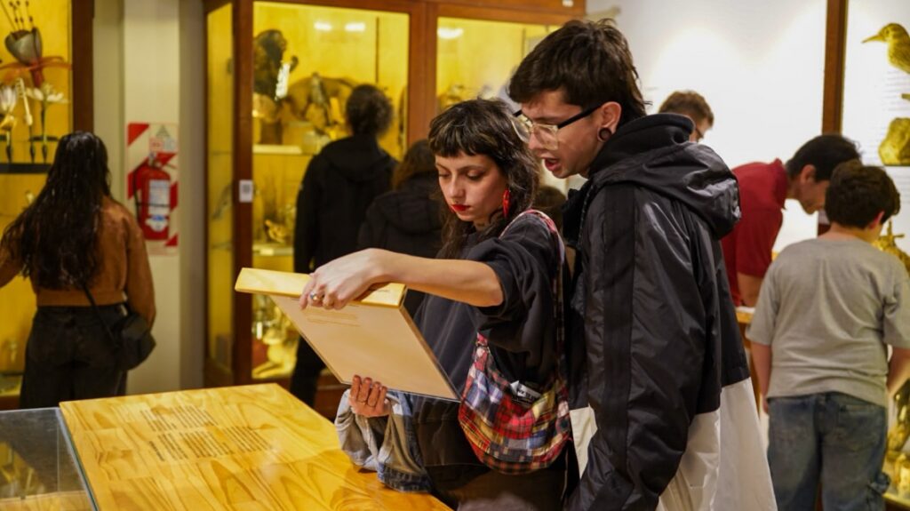 Los espacios de la Provincia se colmaron de vecinos para disfrutar de una nueva edición de Noche de los Museos de Santa Fe