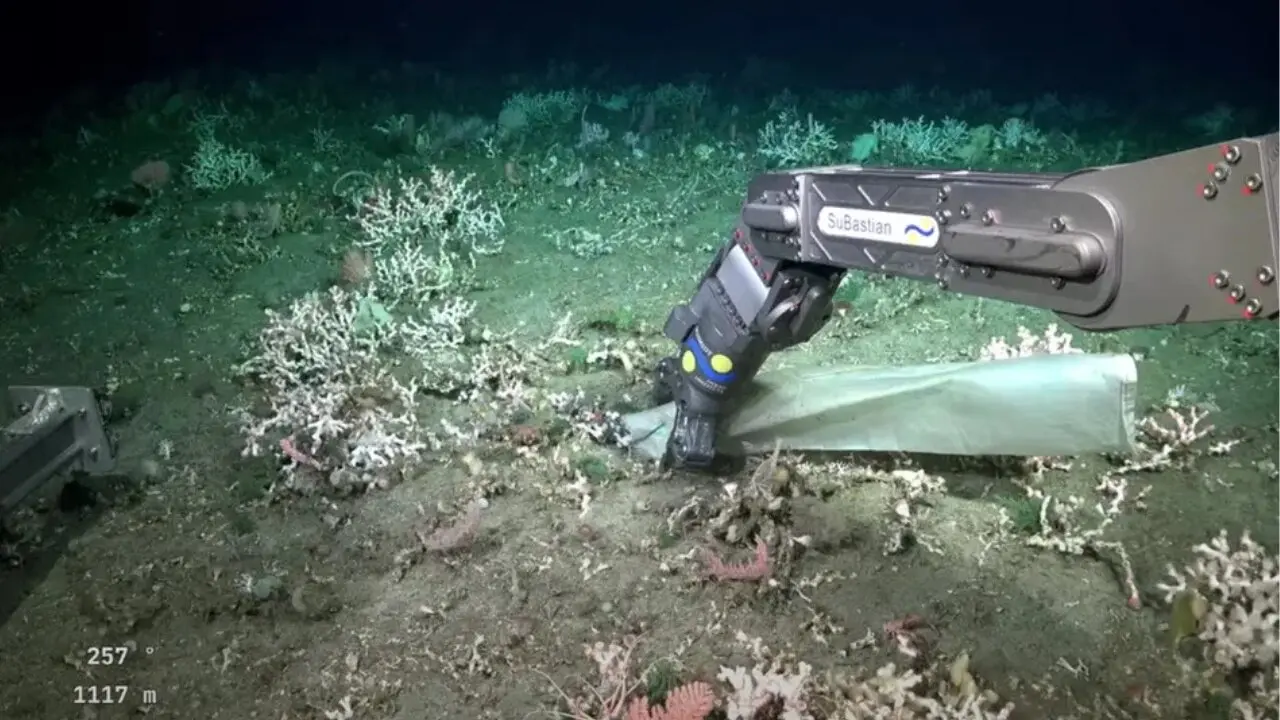 Hallan una alarmante acumulación de plástico en las profundidades del cañón submarino de Mar del Plata