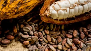 Historia del cacao: de bebida sagrada a golosina universal