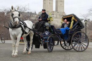 El ocaso de los tradicionales carruajes de Central Park: ¿El fin de una postal neoyorquina?