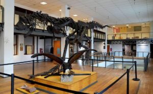 El Museo Provincial de Ciencias Naturales «Dr. Ángel Gallardo»: Historia, Legado y Reapertura