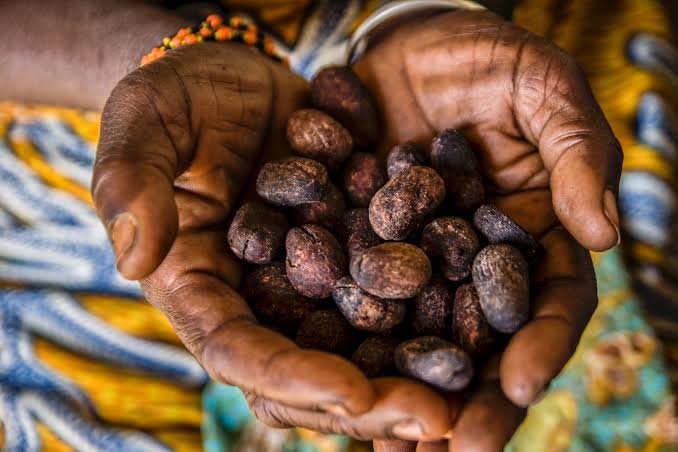Karité: el lujo natural que la piel necesita después de los 35