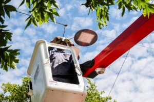 Avanza la colocación de nuevas luminarias led en toda la ciudad
