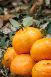 La historia de las mandarinas y sus beneficios