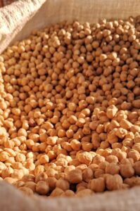 El Garbanzo: El Grano de la Civilización